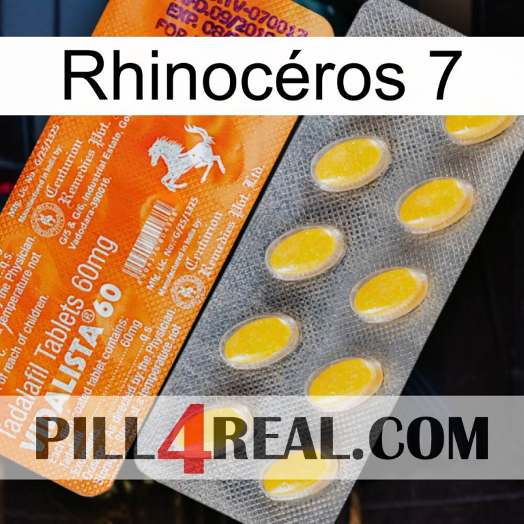 Rhinocéros 7 new05
